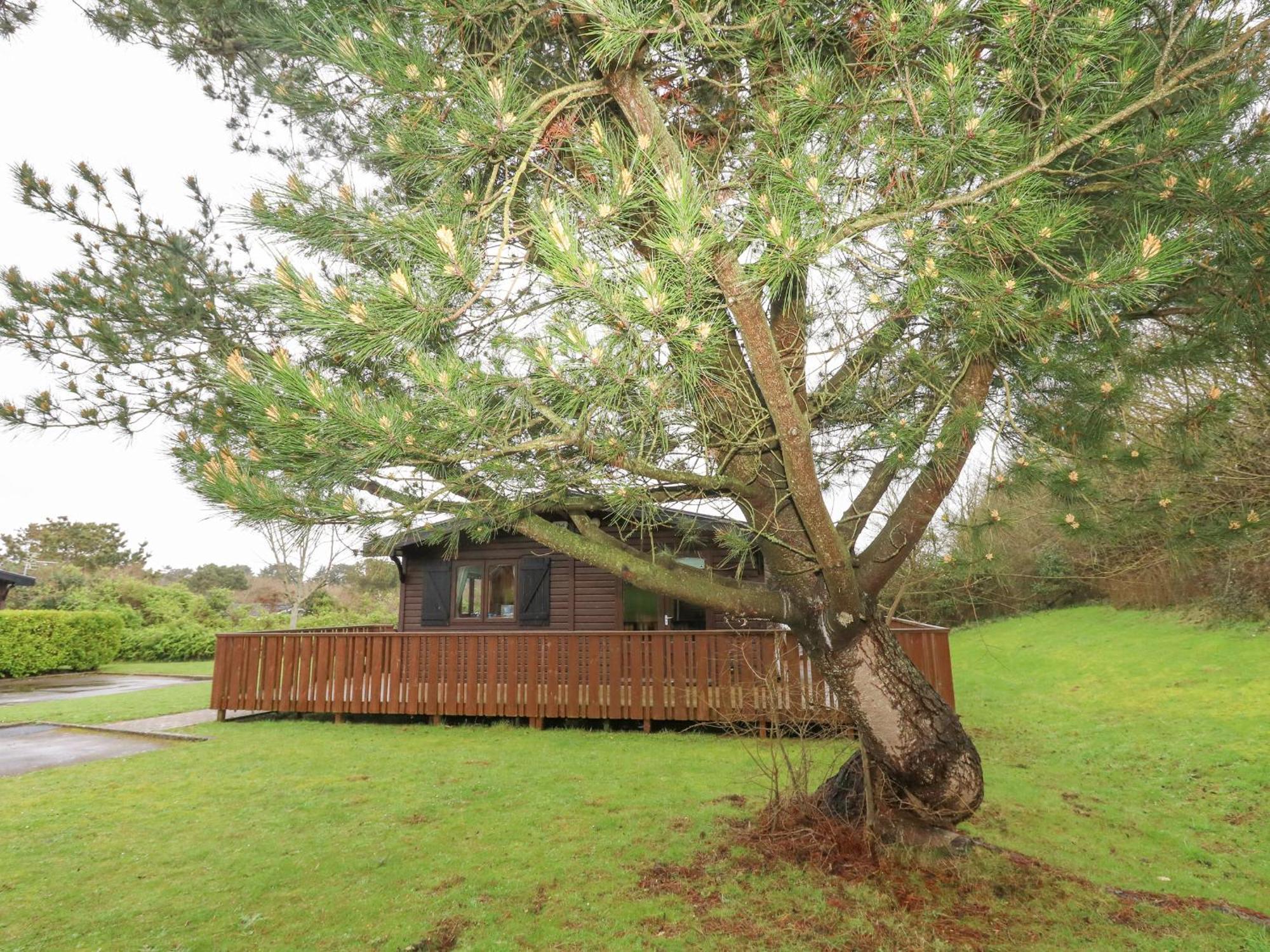 16 Amber Wood Lodge Lymington Extérieur photo